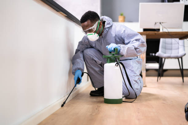 Best Real Estate Pest Inspections  in Riverside, AL